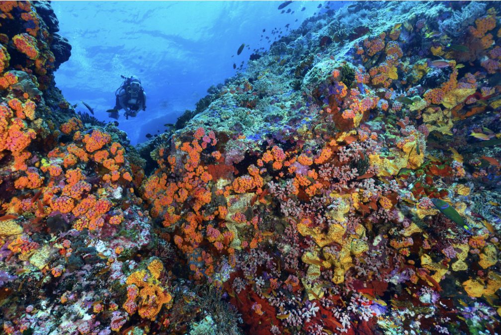 トゥバタハ岩礁自然公園