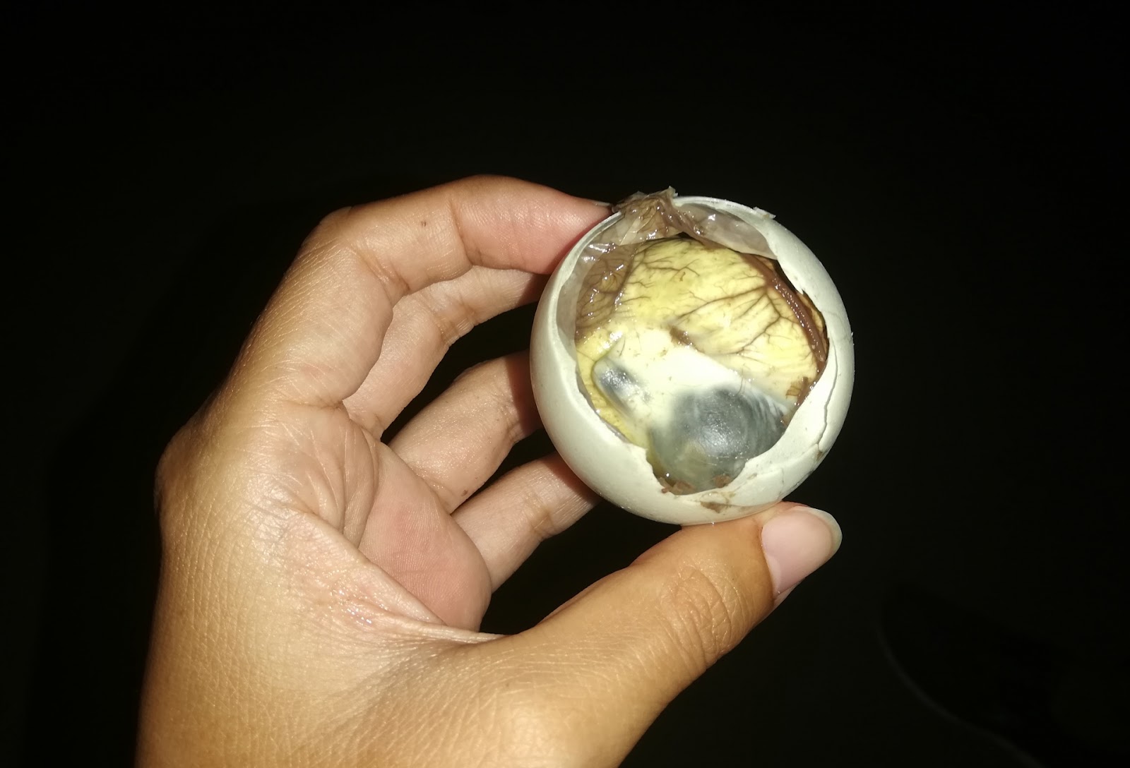 Balut