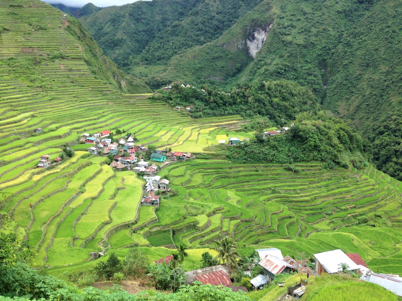 コルディリェーラの棚田群