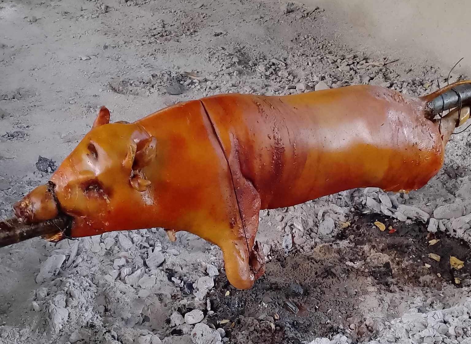 lechon