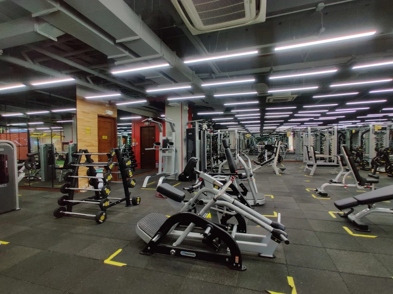 Gold’s Gym Baseline