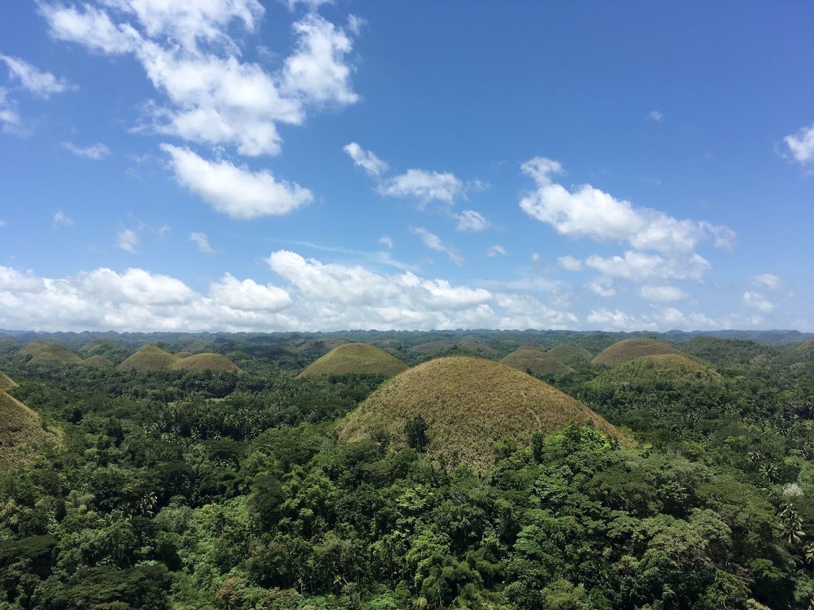 chocolatehills